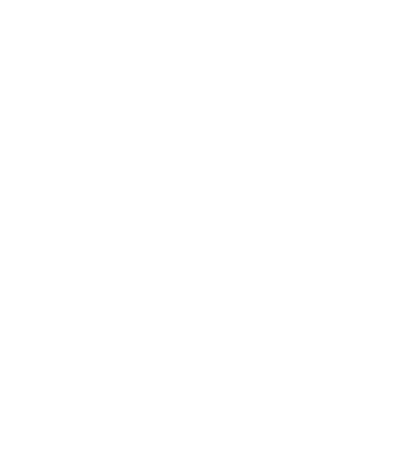 Preloader Icon