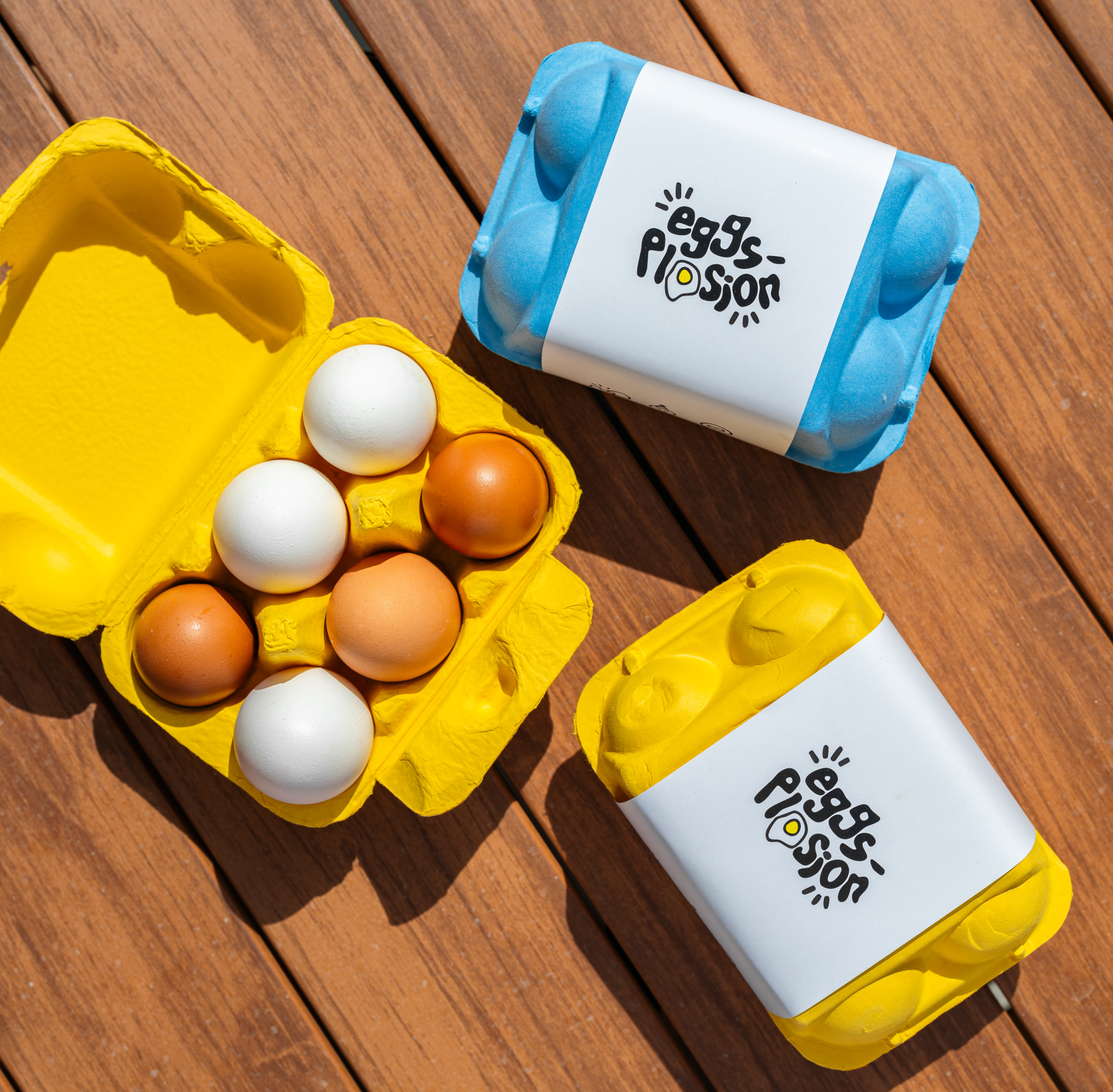 File – 2025-10-11T18_26_35 (2)